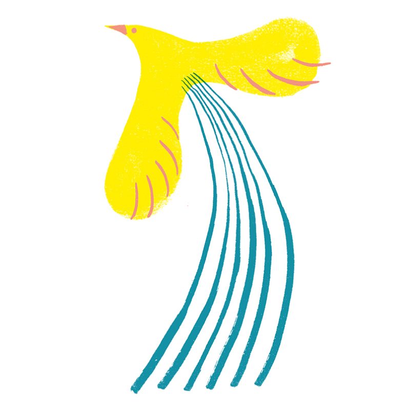 Cartolina Uccellino1
